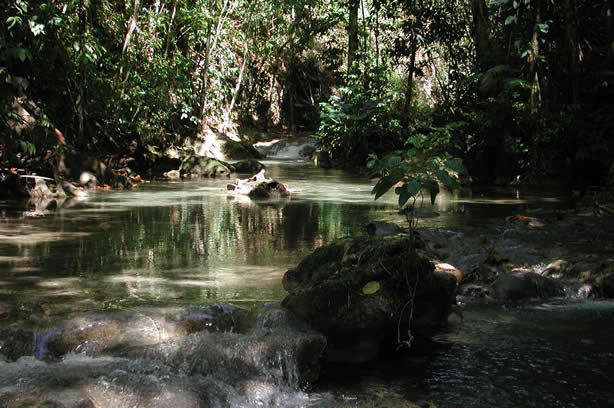 Riverwalk at   Mayfield Falls - Negril, Jamaica W.I. - Saturday, December 8, 2001 - Negril Travel Guide