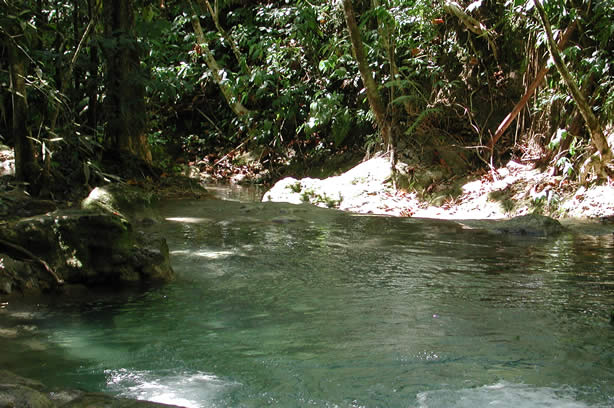 Riverwalk at   Mayfield Falls - Negril, Jamaica W.I. - Saturday, December 8, 2001 - Negril Travel Guide